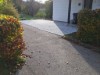 Bilde 7