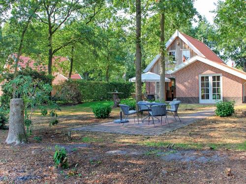 Feriehus - 6 personer -  - Boomsweg 1 - - 7645 AA - Hoge Hexel