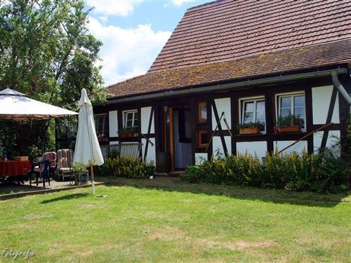 Holiday apartment - 2 persons -  - Schwabwiller - 67660