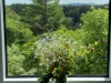 Bild 19