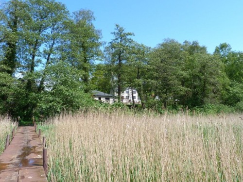 Holiday home - 4 persons -  - 17459 - Stubbenfelde