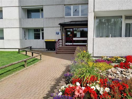 Ferielejlighed - 4 personer -  - Am Hahnenkleer Berg - 38644 - Goslar