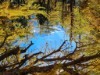 Bilde 21 - Ude