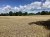 Bilde 3 - Ude