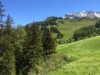 Billede 4 - Ude