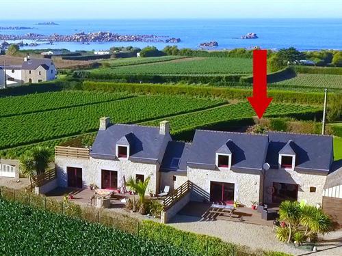 Sommerhus - 8 personer -  - 29233 - Cléder