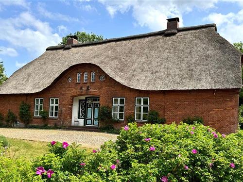 Holiday home - 9 persons -  - Mühlen - 24257 - Köhn