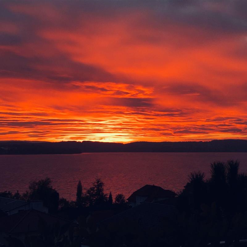 Ferielejlighed - 2 personer -  - Mühlhofen - 88690