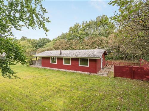 Sommerhus - 6 personer -  - Sydmarken - Arrild - 6520 - Toftlund