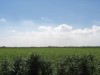 Image 16