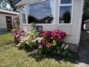 Image 2 - Outside