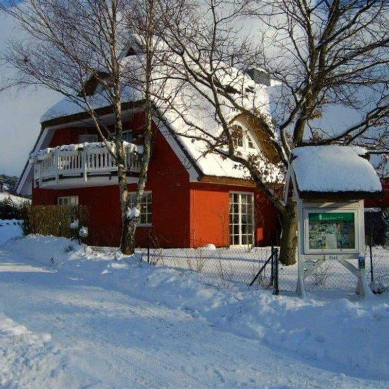 Ferielejlighed - 4 personer -  - Boddenstraße - 18586 - Groß Zicker