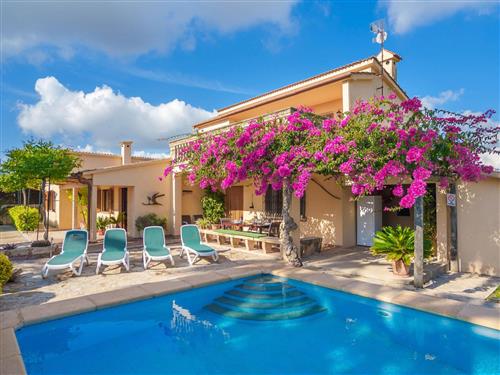 Feriehus - 8 personer -  - Alcúdia - 07400