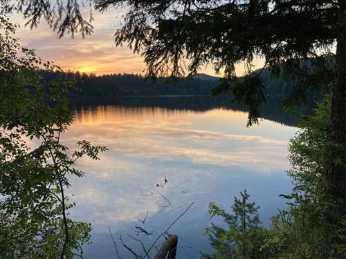 Ferielejlighed - 5 personer -  - Auf der Stift - 3665 - Gutenbrunn