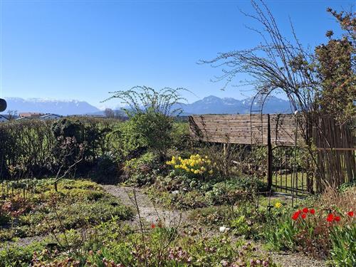 Semesterlägenhet - 4 personer -  - Sonnleiten - 83410 - Laufen