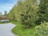 Bild 16
