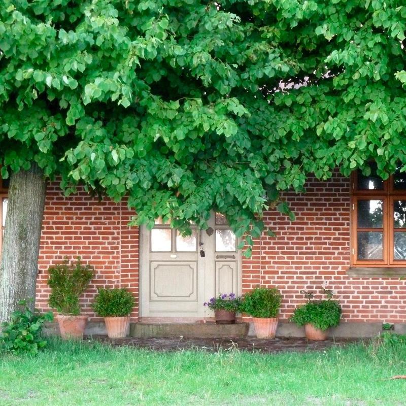 Ferielejlighed - 4 personer -  - Altenteil - 23769 - Fehmarn Ot Altenteil