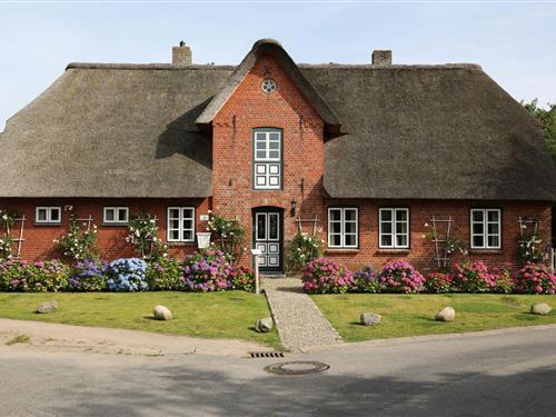 Ferienhaus - 6 Personen -  - Buurnstrat - 25938 - Oevenum