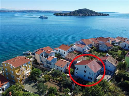 Holiday apartment - 5 persons -  - Punta - 23273 - Preko