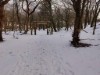 Bild 14 - Ude