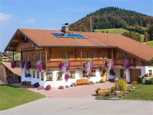 Feriehus / leilighet - 2 personer -  - Am Priesterstein - 83471 - Berchtesgaden