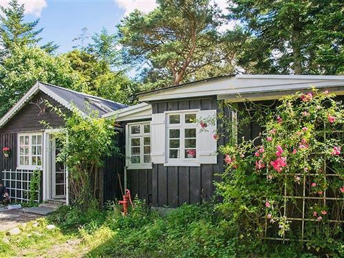 Ferienhaus - 6 Personen -  - Skagensvej 321 A - Bratten - 9981 - Jerup