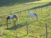 Bild 21 - Aussen