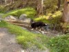Bild 16