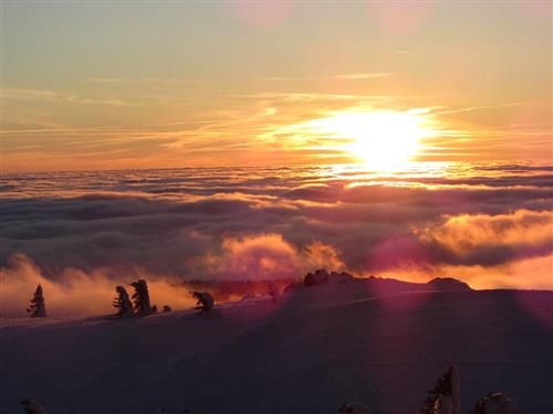 Ferieleilighet - 3 personer -  - Am Buchenacker - 94252 - Bayerisch Eisenstein