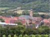 Bild 17
