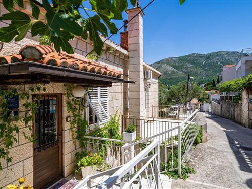 Holiday apartment - 4 persons -  - 20210 - Cavtat