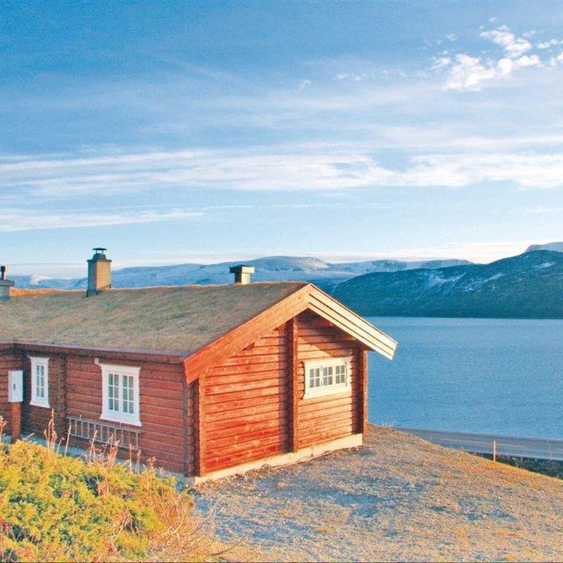 Sommerhus - 10 personer -  - Strønde - Hallingskarvet - 3577 - Hovet