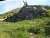 Bild 40