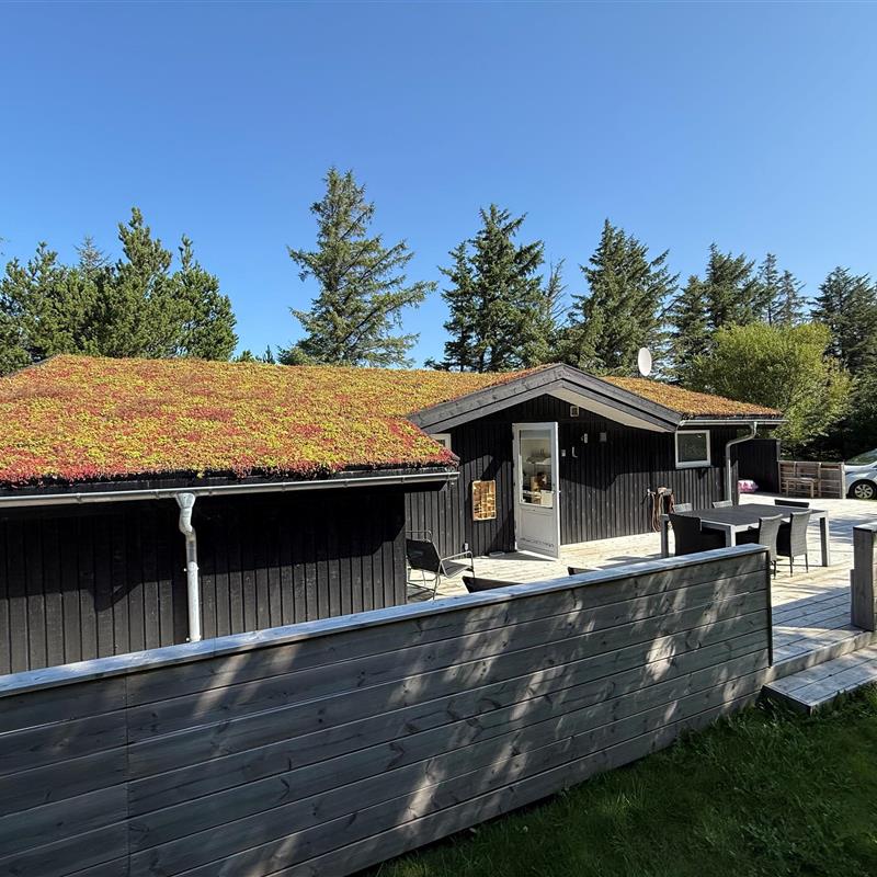 Ferienhaus - 6 Personen -  - Ved Skoven - 6857 - Blavand