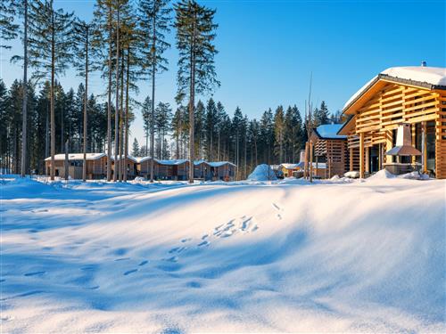 Semesterhus/Semesterlägenhet - 6 personer -  - Leutkirch - 88299