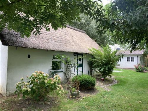 Sommerhus - 5 personer -  - Langer Deich - 25845 - Nordstrand