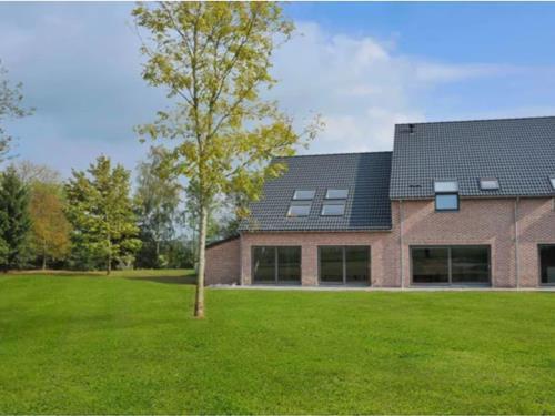 Sommerhus - 12 personer -  - 5377 - Somme Leuze