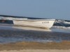 Bild 19