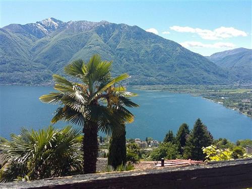 Holiday home - 4 persons -  - Brione Sopra Minusio - 6645