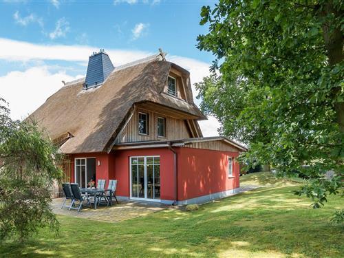 Sommerhus - 4 personer -  - Kielstraße - 18375 - Wieck