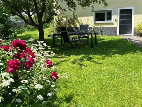 Holiday apartment - 3 persons -  - Barrwiese - 57627 - Hachenburg