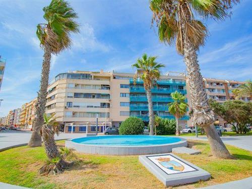 Sommerhus - 4 personer -  - 03180 - Torrevieja