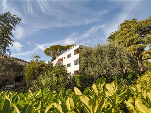 Holiday Home/Apartment - 2 persons -  - Avenue de Vallauris - 06400 - Cannes