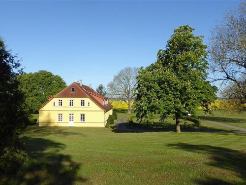 Semesterhus/Semesterlägenhet - 4 personer -  - Volsvitz - 18569 - Gingst