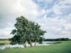 Afbeelding 5