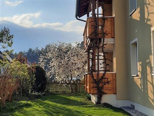 Holiday apartment - 4 persons -  - Fronberger Straße - 92442 - Wackersdorf