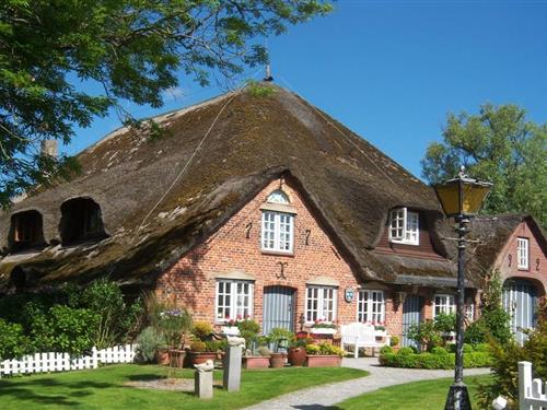 Ferienhaus - 4 Personen -  - 25826 - Sankt Peter-Ording