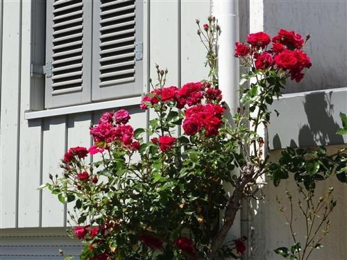 Ferienwohnung - 4 Personen -  - Vlotho - 32602