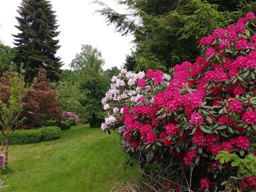 Ferieleilighet - 2 personer -  - Hembergstraße - 27726 - Worpswede