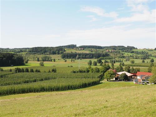 Bondegård - 6 personer -  - Allisreute - 88285 - Bodnegg